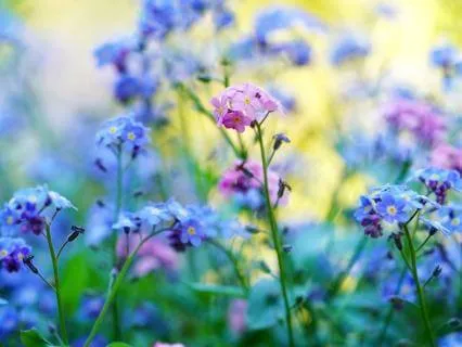 The Joy Of Aging: Graceful Gratitude