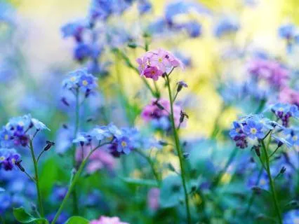 The Joy Of Aging: Openness