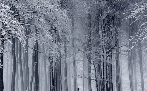 The Joy Of Giving (Piano)