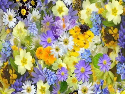 The Joy Of Small Things