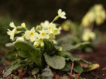 The Joy Of The Journey - February 10