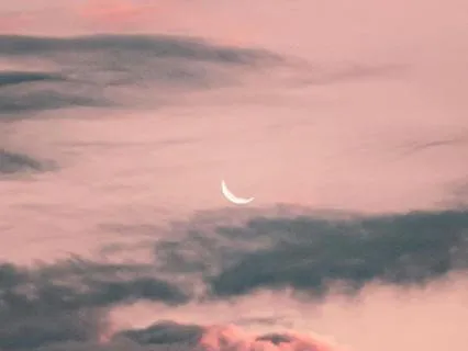 The Joy You're Rushing Past