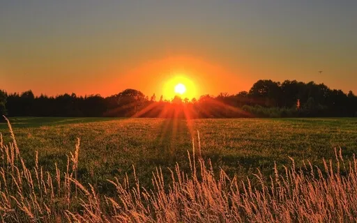 The Juicy Present Moment!