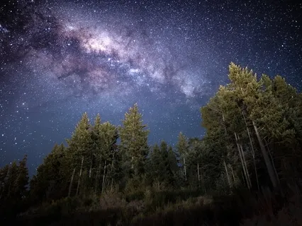 The Jungle Book - Chapter One