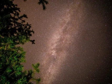 The Jungle Book - Chapter Three