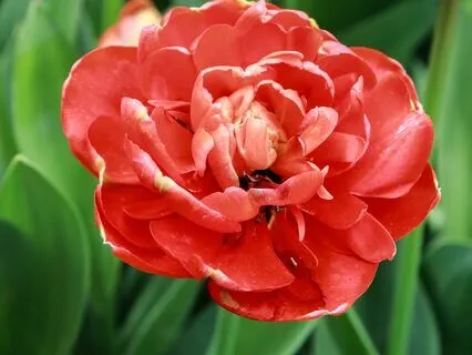 The Key To Recognize Suffering Is Discernment