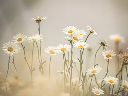 The Kingdom Of Heaven Is Within You