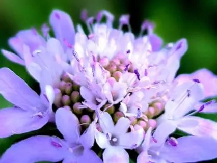 The Lake Of Stillness Within You