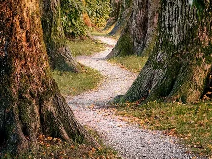 The Land Of Stories – A Fairytale Journey To Sleep