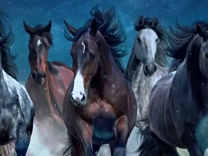 The Land Of The Horses | Guided Sleep Story (Dreamweaver)