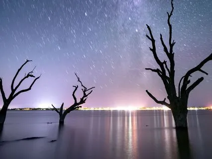 The Language Of Stars