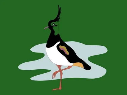 The Lapwing