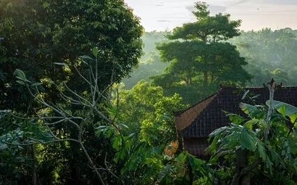 The Last Of An Ancient World  - Emotional Healing