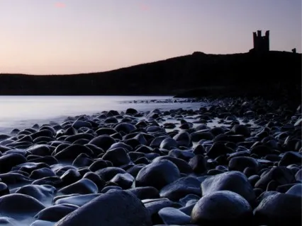 The Last Rose Of Summer (For Surrender & Release)