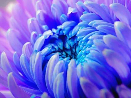 The Law Of Attraction : 3 Of 12 Universal Laws