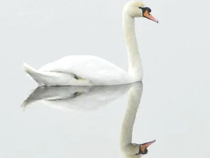 The Law Of Correspondence : 4 Of 12 Universal Laws