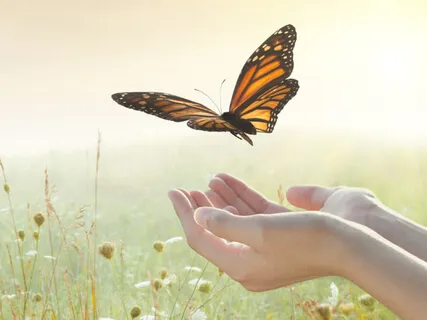 The Letting Go Meditation