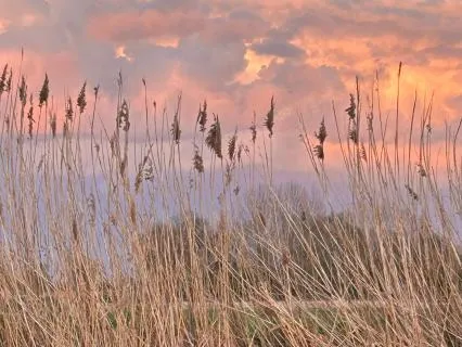 The Life Seasons Circle Meditation