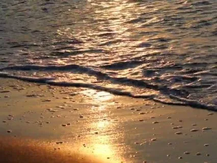 The Life You Practice: Neuroplasticity & Daily Habits