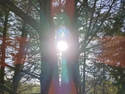 The Light Between Us