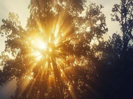 Relationship Tension Neutralizer