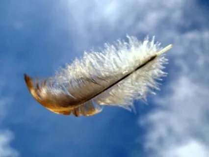 The Light Feeling of Meditation