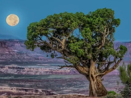 The Light Has Come - A Course In Miracles