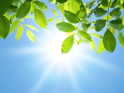 The Light Of Angels Sound Bath