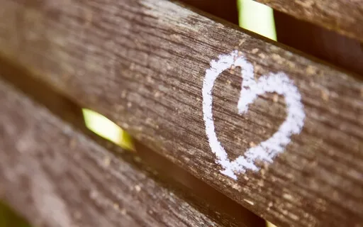 The Light Of Compassion