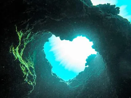 The Light Of The World