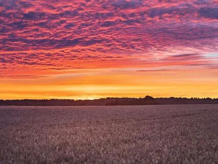 The Light Shines Through