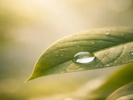 The Light That Listens: Restore Your Inner Steadiness