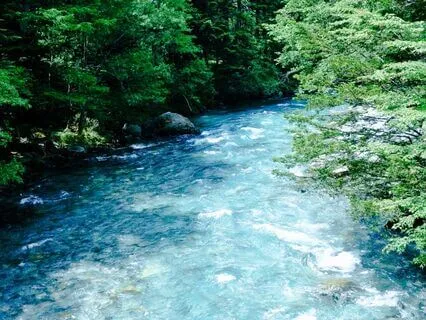 The Light Within: Ignite Your Spiritual Awakening