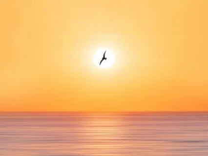 The Lightness Of The Here And Now