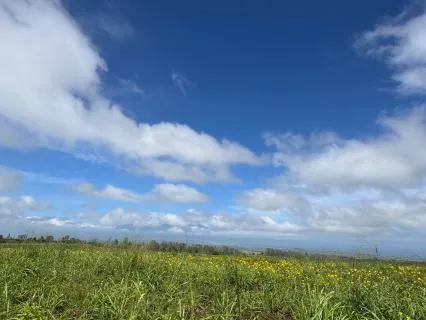 The Limitless Gift Of Creation