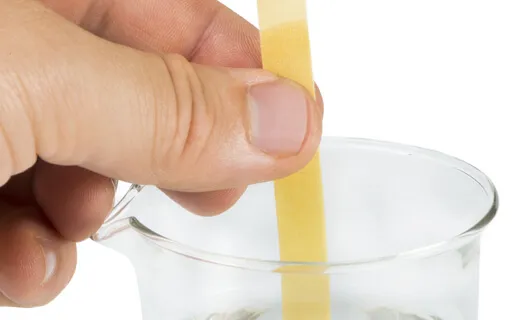 The Litmus Test Of Enlightenment