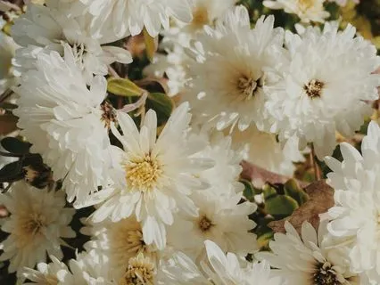 The Little Joys Meditation