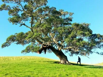 The Littlest Giant - Inspirational Story