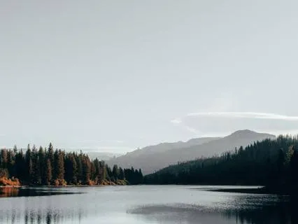 The Living Method: Levels Of Awakening 2