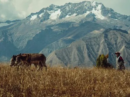 The Lonely Panflutist, Echoes Through Nature’s Serenity