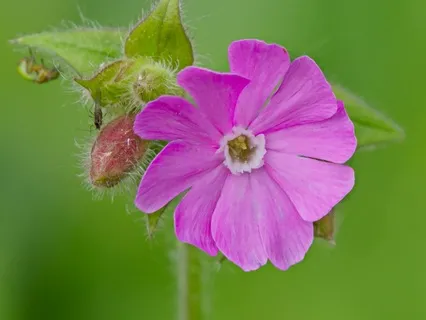 Day 21 - The Long Way Around - April 03