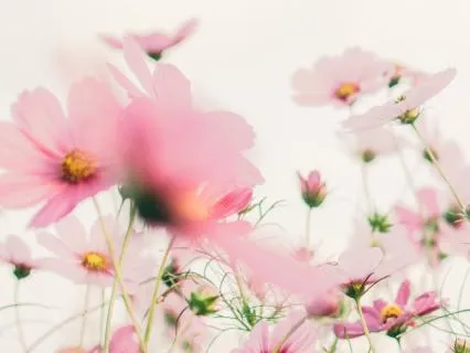 The Long Way To Peace