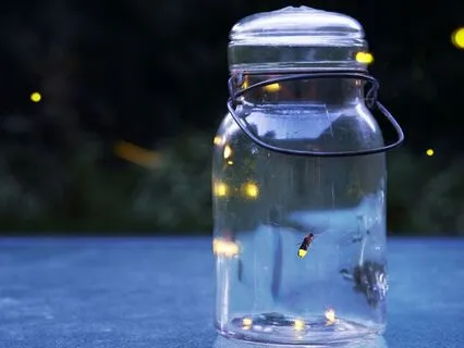 The Longest Day | Summer Solstice Bedtime Tale For Kids