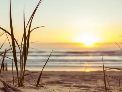 The Longest Light Ritual: A Summer Solstice Siren Reset