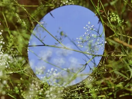 The Looking Glass Self