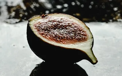 The Lord Is Compassion & Love