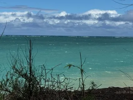 The Lost Bird And The Song Of Home