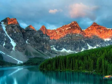 The Lost Dragons: Bedtime Story