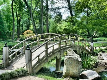 The Lovable Feral Cat's Dedicated To Melissa, A Cat Rescuer