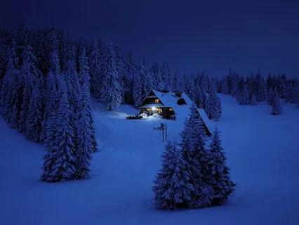 The Love Of A Pup: Fall Asleep In A Snowy Cabin